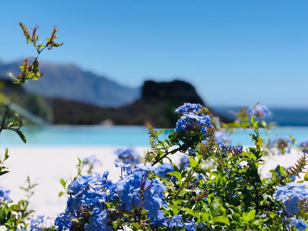 Paraisos De Agaete Puerto de Las Nieves Bagian luar foto